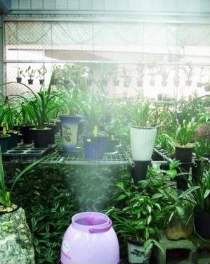 半天雾,加湿机,增湿机,TL-3600,TL-5500