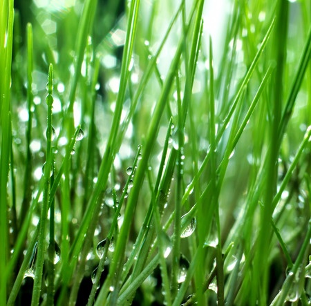 扩散型喷雾器让您的家园多采多姿