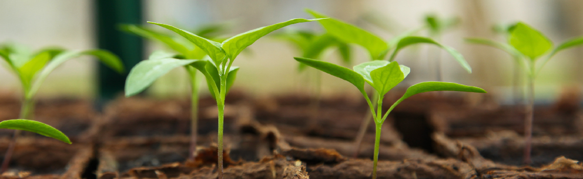 增湿机提供农作物源源不绝的水动力